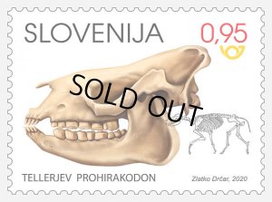 画像1: スロベニア切手　2020年　モトニックの最古の化石哺乳類　1種 (1)