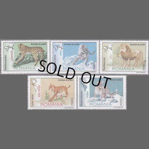 画像1: ルーマニア切手　2000年　ライオン　ネコ科　動物　5種 (1)