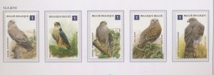 画像1: ベルギー切手　2010年　鳥　猛禽類　ハイタカ　ヨーロッパノスリ　アカトビ　5種 (1)