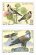 画像2: イタリア切手　2019年　鳥　ヨーロッパ　ボネリークマタカ　2種 (2)