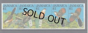画像1: ジャマイカ切手　1982年  鳥　ジャマイカトゲカッコウ　5種 (1)