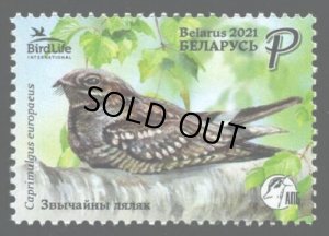 画像1: ベラルーシ切手　2012年　鳥　1ヨーロッパヨタカ　1種 (1)