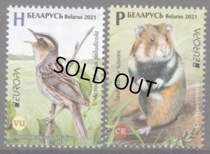 画像1: ベラルーシ切手　2021年　ヨーロッパ  C.E.P.T.　 鳥　ハムスター　2種 (1)