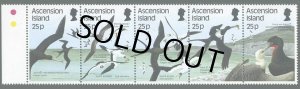 画像1: アセンション島切手　1987年　海鳥　鳥　5種 (1)