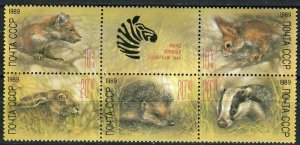 画像1: ロシア　旧ソ連切手 1989年 リス、ハリネズミ、ウサギ　動物 5種 (1)