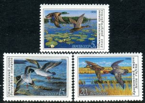 画像1: ロシア　旧ソ連切手　1990年　鳥　カモ　アヒル　3種 (1)