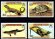 画像1: ケイマン諸島切手　 1981年　爬虫類　トカゲ　カメ　4種 (1)