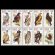 画像1: 南アフリカ切手　1998年　鷹　南アフリカの猛禽類　鳥　　 (1)