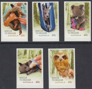 画像1: オーストラリア切手　2010年　コアラの 赤ちゃん　5種 (1)