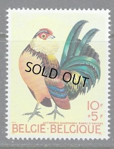 画像1: ベルギー切手　 1969年　ベルギーの鶏　鳥　1種　 (1)