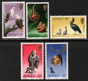 画像1: ジャージー島 切手 1979年　野生生物保護トラスト 第3　ホオアカトキ　鳥　5種 (1)