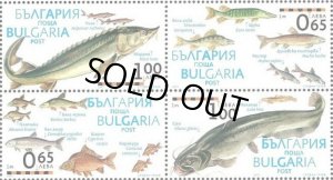 画像1: ブルガリア切手　2011年 　魚　ドナウ川　ヨーロッパオオナマズ　4種 (1)