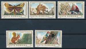 画像1: ルーマニア切手　1983年　動物　リス　5種 (1)
