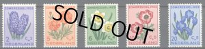 画像1: オランダ切手　1953年　花　ヒヤシンス　センジュギク　5種 (1)