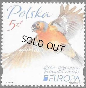 画像1: ポーランド切手　2019年　鳥　ズアオアトリ　ヨーロッパ C.E.P.T.　1種 (1)