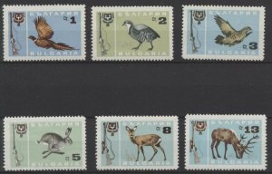 画像1: ブルガリア切手　1967年　鳥　狩猟　アカシカ　コウライキジ　6種 (1)