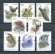 画像1: 中国切手　2021年　鳥　中国の絶滅危惧種　シマアオジ　8種 (1)