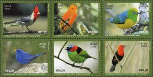 画像1: ブラジル切手　2009年　自然保護　ブラジルの 鳥　6種 (1)