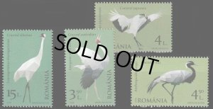 画像1: ルーマニア切手　2018年　鳥　渡り鳥　オーストラリアヅル　4種 (1)