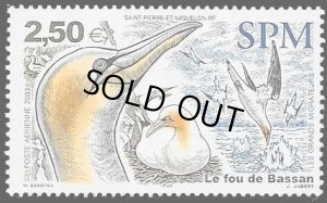 画像1: サンピエール島・ミクロン島切手　2003年　鳥　シロカツオドリ　1種 (1)
