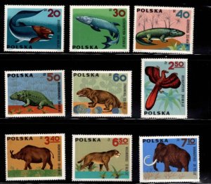 画像1: ポーランド切手　1966年　恐竜　ディニクティス　絶滅した生き物　9種 (1)