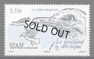 画像1: サンピエール島・ミクロン島切手　2006年　鳥　アイスランドカモメ　1種 (1)