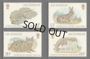 画像1: アセンション島切手1983年　4種　ネコ　うさぎ　馬 (1)