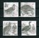 画像1: ルーマニア切手　2022年　鳥　ヤマシギ　4種 (1)