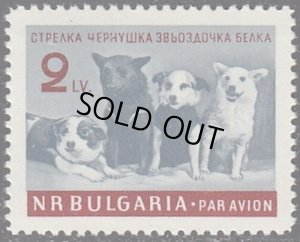 画像1: ブルガリア切手　1961年　ソ連の宇宙飛行士犬　1種 (1)