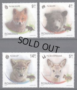 画像1: ルーマニア切手　2012年　動物　哺乳類　キツネ　4種 (1)