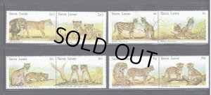 画像1: シエラレオネ切手　1981年　ネコ科　子ども　アフリカゴールデンキャット　8種 (1)