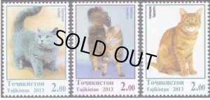 画像1: タジキスタン切手　2013年　ネコの品種　ラパーマ　3種　 (1)