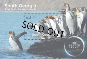 画像1: サウスジョージア・サウスサンドイッチ諸島切手　2023年　フローズンプラネット　ペンギン　1種 (1)