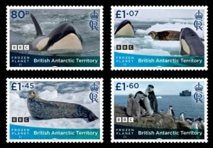 画像1: イギリス領南極地方　2023年　フローズンプラネットII　ペンギン　シャチ　4種 (1)
