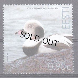 画像1: エストニア切手　2023年　鳥　コオリガモ　1種 (1)