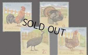 画像1: ルーマニア切手　2023年　鳥　鶏　ルーマニアの家禽　4種 (1)