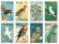 画像1: パラオ切手 　1994年　鳥　韓国切手展　オオクイナ　8種 (1)
