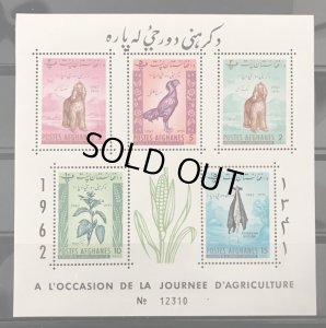 画像1: アフガニスタン切手　1962年　鳥　犬　アフガン・ハウンド　農業デー　花　5種　 (1)