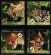 画像1: タイ切手　2011年　WWF　動物　マーブルキャット　4種 (1)