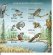 画像2: アンゴラ切手　2000年　鳥　猛禽類　アメリカオオコノハズク　6種 (2)