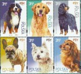 2467 外国切手 ポーランド 1969年 犬々 シーズ 8種 未使用 2467 外国切手 ポーランド 1969年 犬々 シーズ 8種 未使用