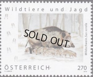 画像1: オーストリア切手 　2019年　野生動物と狩猟　イノシシ　1種 (1)