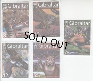 画像1: ジブラルタル切手　2007年　動物　ワシミミズク　 鳥　5種 (1)