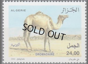 画像1: アルジェリア切手　2004年　ラクダ　1種 (1)