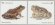 画像1: カナダ切手　2024年　カナダ絶滅危惧種のカエル　2種 (1)
