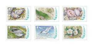 画像1: ガーンジー島切手　2016年　アジサシ 　鳥　ラムサール条約　6種 (1)