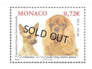 画像1: モナコ切手　2009年　 キャバリア・キング・チャールズ・スパニエル　犬　1種 (1)