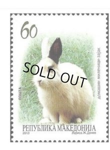 画像1: マケドニア切手  2013年　ウサギ　 動物　1種 (1)