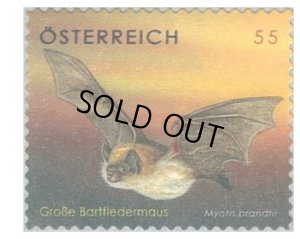 画像1: オーストリア切手　2007年　コウモリ　1種 (1)
