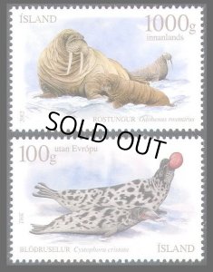 画像1: アイスランド切手　2012年　海洋生物　アザラシ　 2種 (1)
